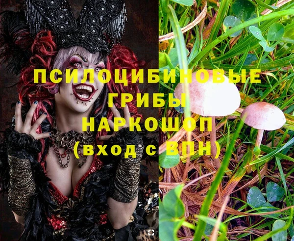 бошки Абинск