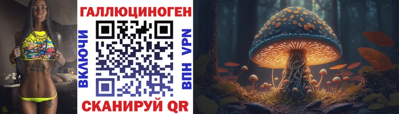 Галлюциногенные грибы Psilocybine cubensis МЕГА ссылка Тбилисская